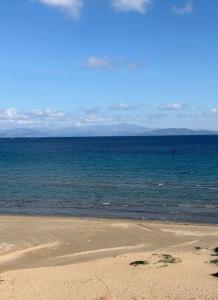 OCEAN VISTA Beachfront Apartment Near Airport-B2