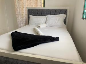 El luxe homes