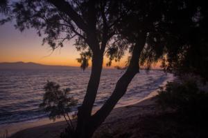 Akti Kastraki Beach Naxos Greece