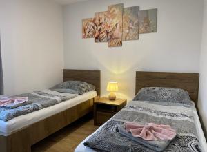 Apartmány MAX - Jeseníky