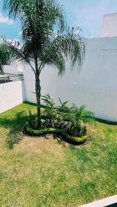 Abrazo de Sol Experience Morelos like youre at home