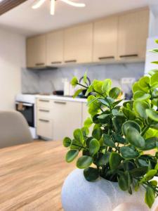 Voulas Apartment 4