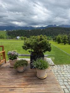 Tatra Whisper Chalet