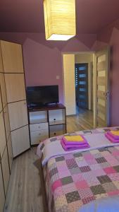 Apartament Tkaczy