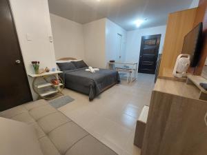 JLs Place at Plumera Condominium Mactan Cebu City