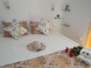 Rodon Apartments Lefkada Greece