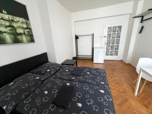 Central apartment room