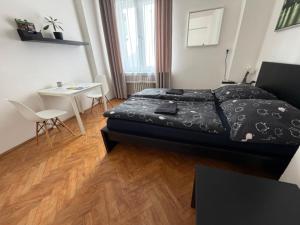 Central apartment room