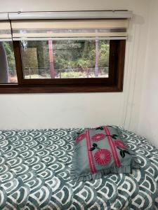 Refugio premium puyehue