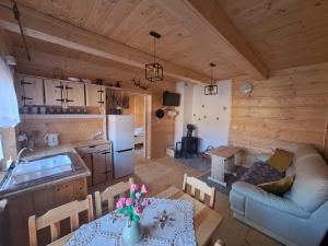Domek Sidzina