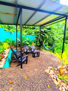 Monstera Forest Lodge