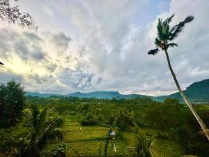 Aura Cempaka
