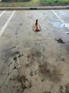 AJs Regency Tanjung Tuan Beach Resort, Port Dickson, Malaysia - Seafront apartments