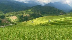 Mys Homestay sapa