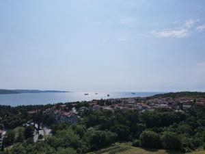 Vista on the sea