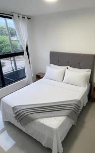 Apartamento moderno y acogedor