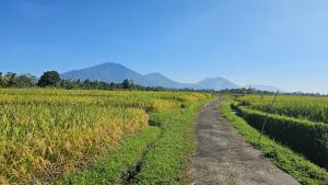 Svarga Uma Cottage - Unwind Amidst Bali Starling Sanctuary