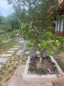 Phố Mộc Homestay Cô Tô