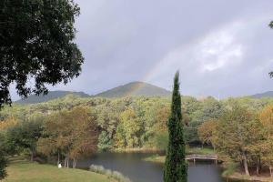 Pet-Friendly Cabin Rental with Creekside Views near Bandera, Texas