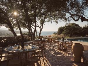Prosilio olive tree houses