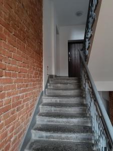 Apartament No 20