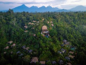 Hanging Gardens of Bali