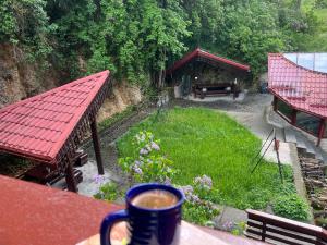 Rems Pension