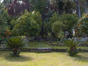 Ponteronico Resort