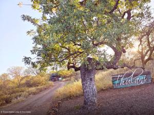 Thulani Game-Lodge And Eco Estate