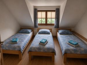 Apartmán Alva 3