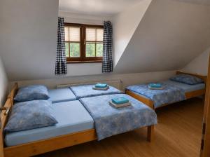 Apartmán Alva 3