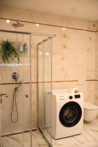 Apartman Deluxe Astrova C