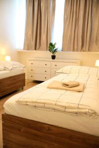 Apartman Deluxe Astrova C