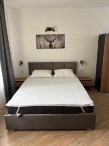 Pine Forest Apartments