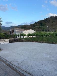 EtnaDetox Vineyard Open Space