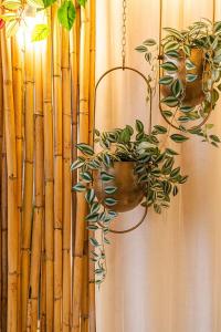 Taormina Elysea Collection - ORO luxury room
