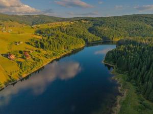 Lakeside Serenity