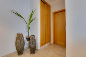 Palm tree
