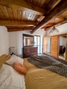 Panoramic Alpine Chalet