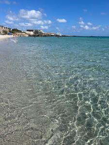 Dar zgolli