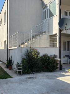 Lily Bloom Apartments