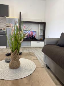 Lily Bloom Apartments