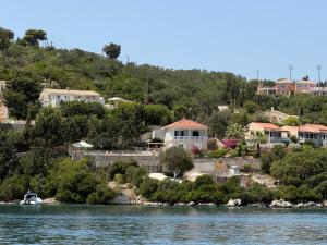 Dolphin House by the sea