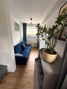 Apartment at the Municipal Cultural Center