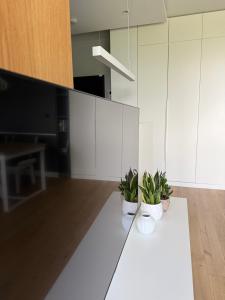 Premium Tolkiena House Mokotów 2- bedrooms & living room, terrace with garden, free underground parking & free high-speed Wi-Fi
