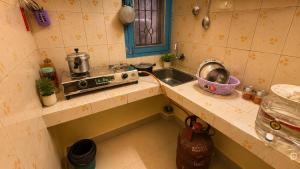 Parijat Homestay