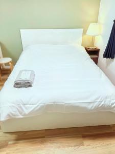 锦糸町车站5分钟 核心商圈 交通枢纽站多条线路 邻近晴空塔 可直达机场 秋叶原