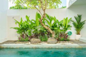 Selog 3BR Villa Seminyak include daily transportation