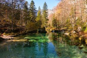 Apartma Fonda Bohinj