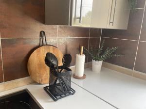 Maison 105 m2 rez de jardin 3 chambres